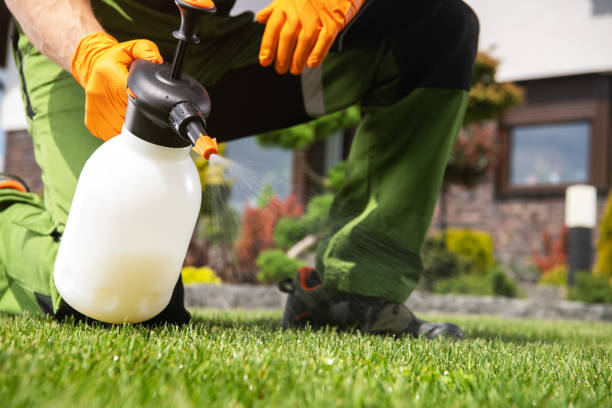 Pest Prevention Services in Brownwood, TX