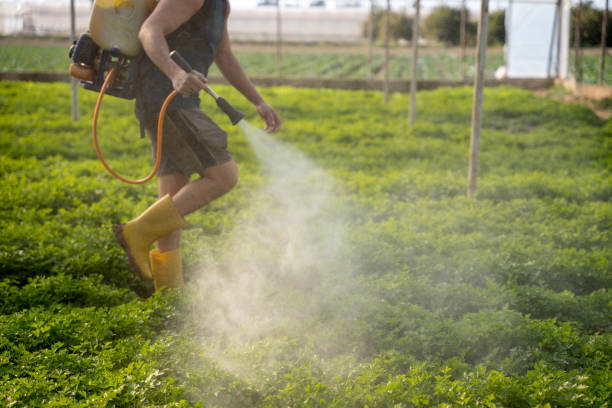 Best Insect Control  in Brownwood, TX