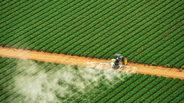 Brownwood, TX Pest Control Company