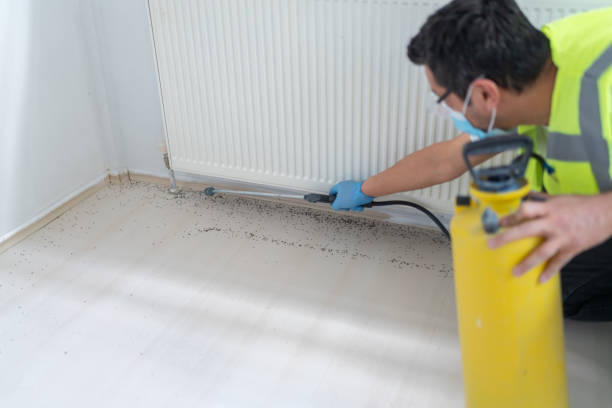 Best Bed Bug Extermination  in Brownwood, TX