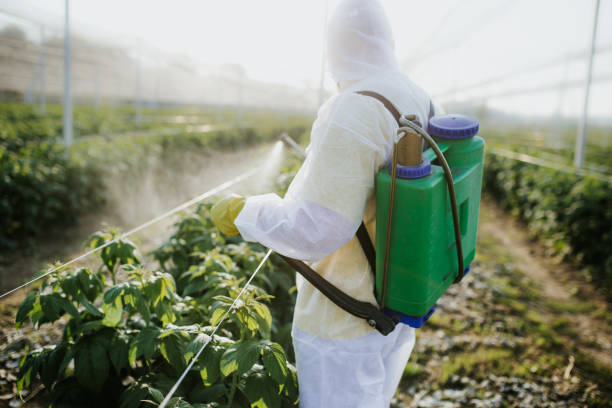 Best Best Pest Control Companies  in Brownwood, TX